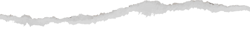 Paper Top