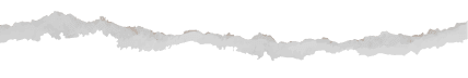 Paper Top