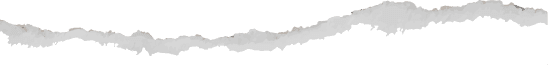 Paper Top
