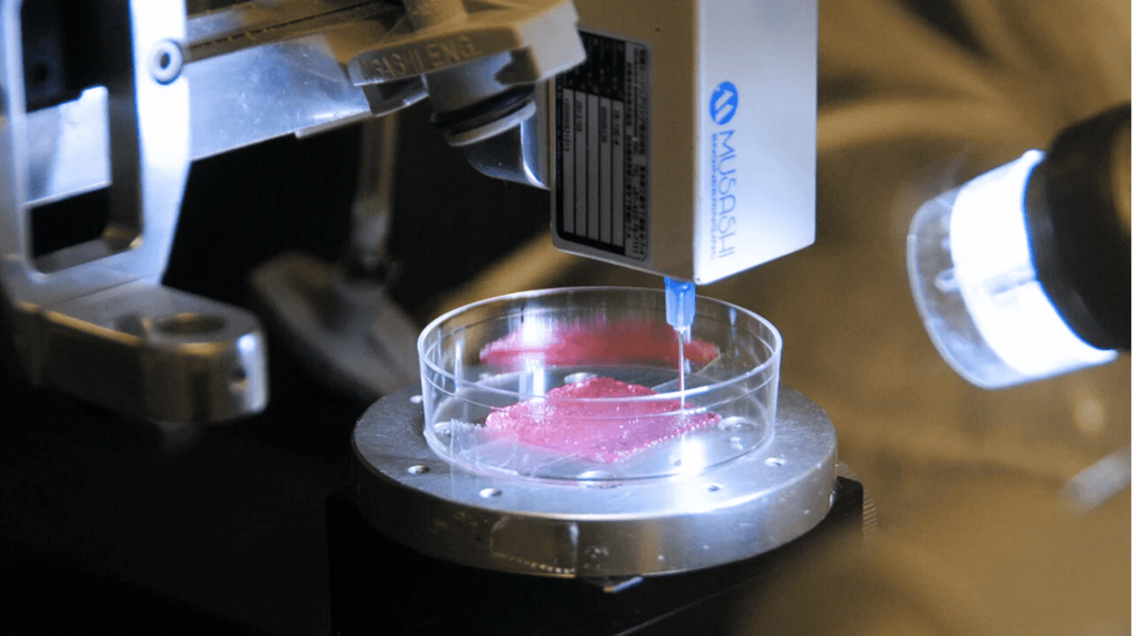 3d cell culture lab setup 3d cell culture lab setup
