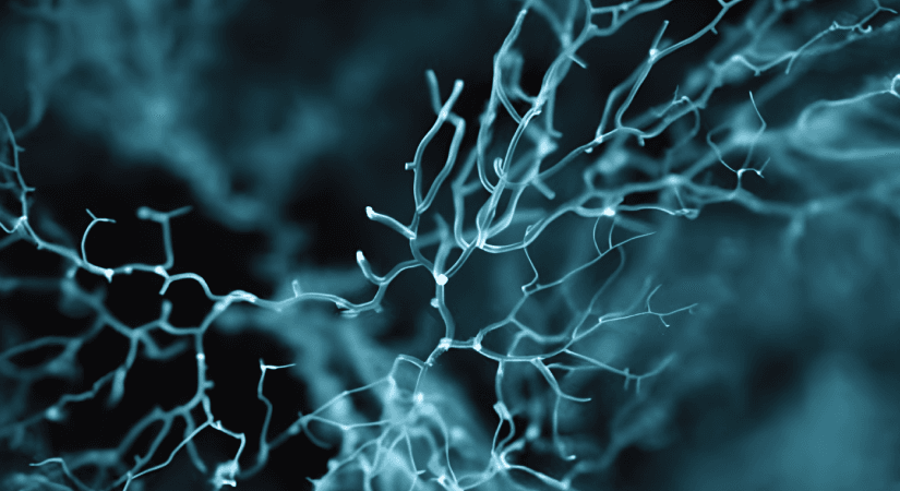 How AI Is Reinforcing GMP Standards and Reshaping Pharmaceutical Operations | Pharma Now Abstract neural network visual representing AI reinforcing GMP standards in pharma operations