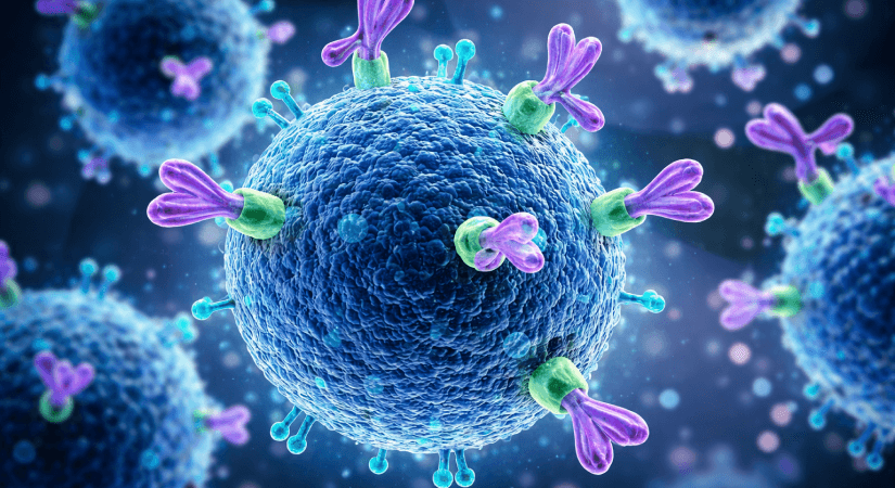 How Anti-CD8 Alpha Antibody Helps in Determining Failure of a Treatment How Anti-CD8 Alpha Antibody Helps in Determining Failure of a Treatment