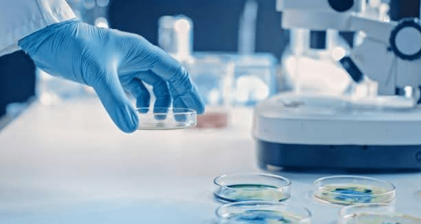 Microbial_Identification_in_Pharmaceutical_Manufacturing Microbial_Identification_in_Pharmaceutical_Manufacturing