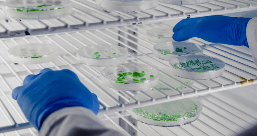 HACCP_microbiology HACCP_microbiology