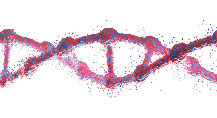 Human_Genome_Project_Leadership_Lessons Human_Genome_Project_Leadership_Lessons