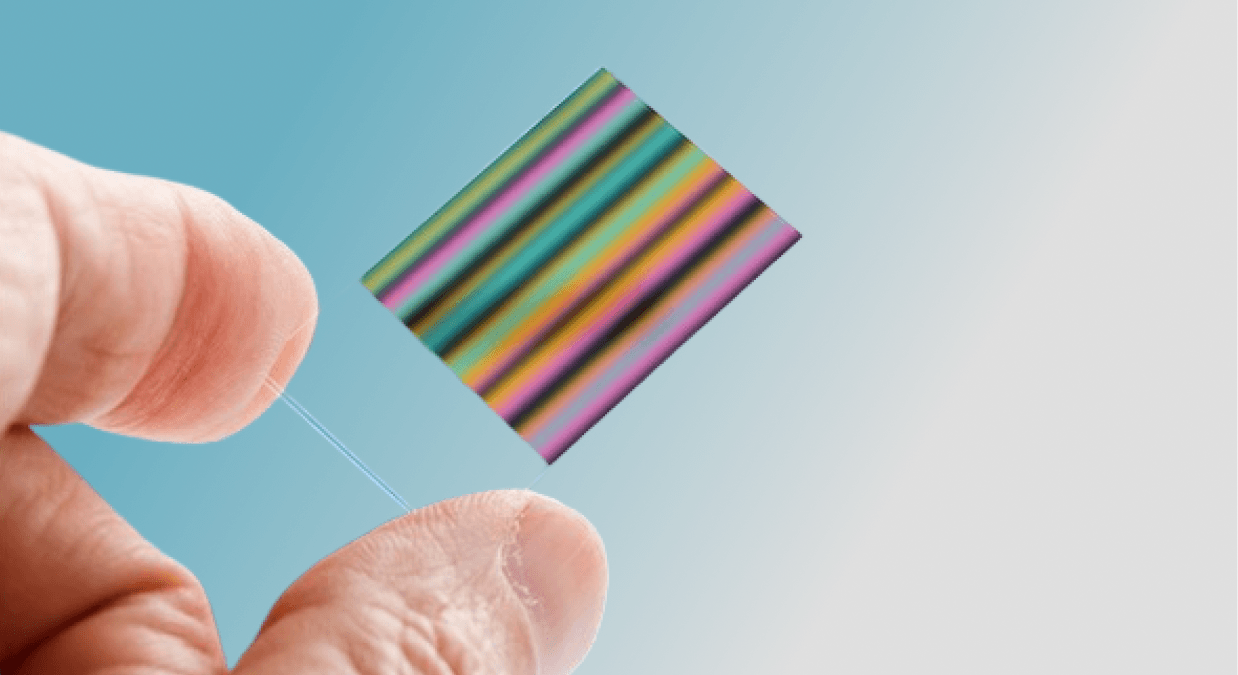 Beginner's Guide to Chromatography Hand holding a chromatography paper