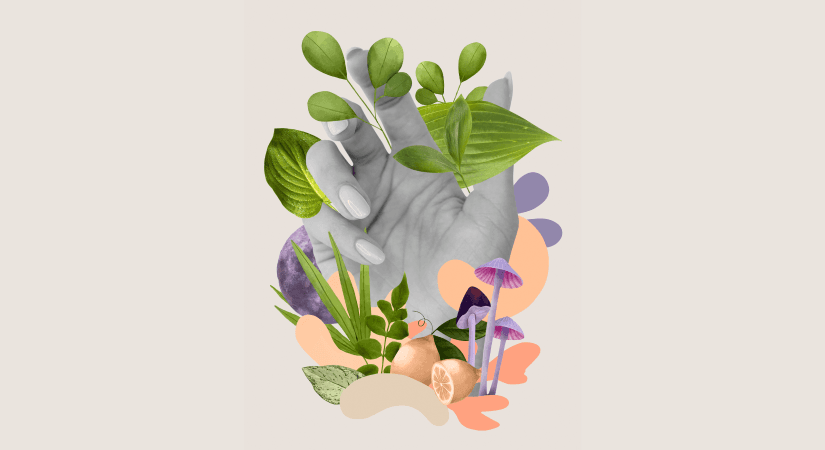 Nourishing the Future of Pharma: An Introduction to Nutraceuticals
