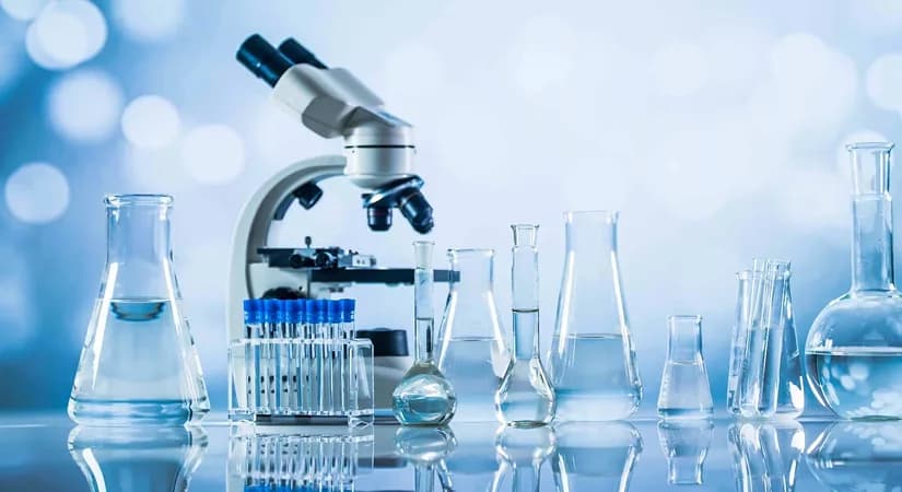 Preclinical Screening Of Antihypertensive Agents: A Detailed Guide For Pharma Professionals