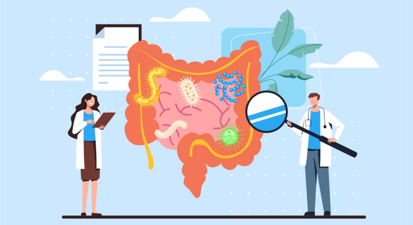 Senolytics and Microbiome Modifiers Two Quiet Levers Reshaping the Biology of Ageing