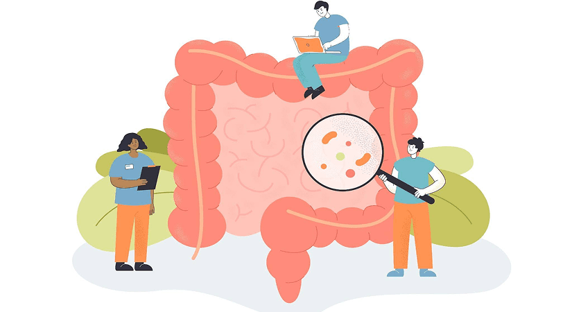 AI Gut Microbiome Cover Illustration of researchers using a laptop and a magnifying glass to analyze bacteria in the human gut.
