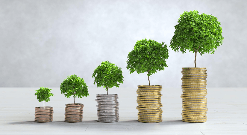 VC Investment Growth Cover Five growing stacks of coins with small green trees sprouting on top against a light background.