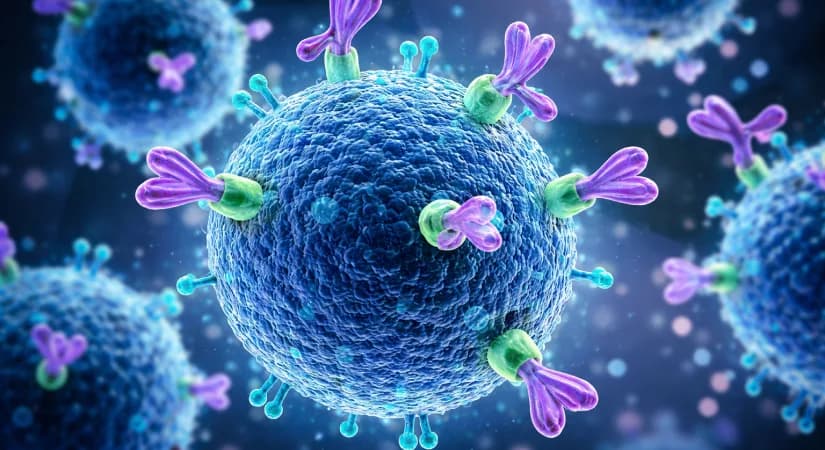 How Anti-CD8 Alpha Antibody Helps in Determining Failure of a Treatment