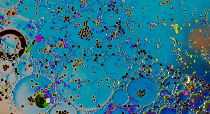 Beyond One-Size-Fits-All: How Flow Chemistry And Targeted Delivery Are Shaping Personalized Medicine