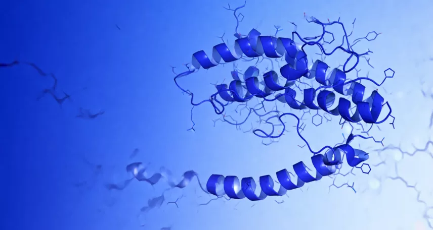 DSIP: A Multifaceted Peptide with Intriguing Research Possibilities
