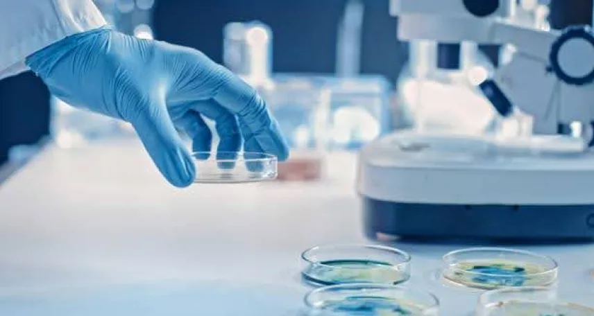 The Next Frontier In Pharma QC: MALDI-TOF And Sequencing For Microbial Detection And Typing