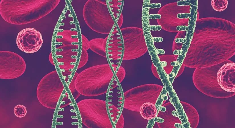 Manufacturing mRNA Therapeutics: An Overview