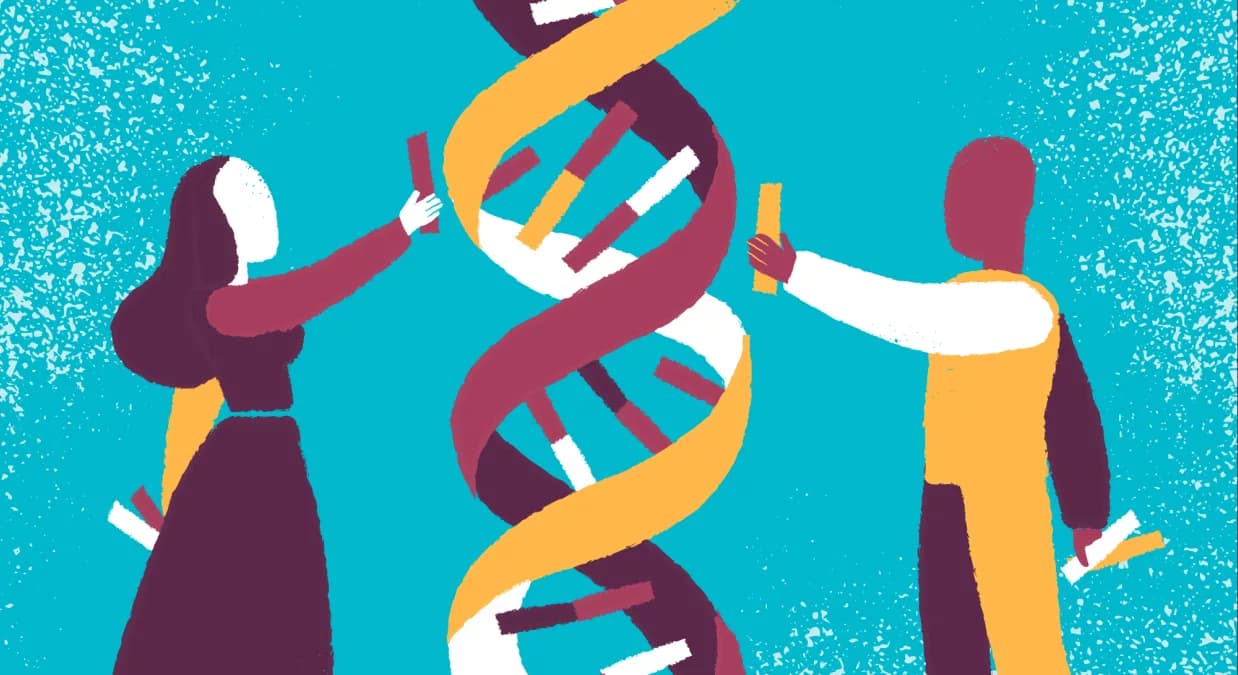 Drug Development: From Discovery to Market