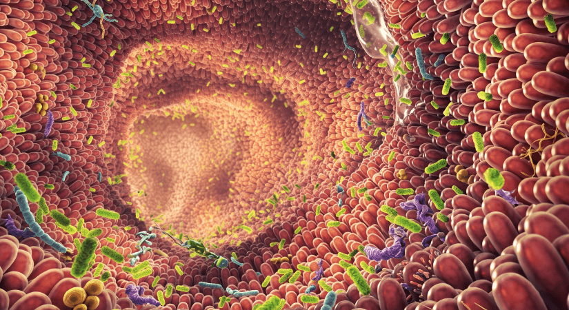 The Microbiome Revolution: Why Gut Microbes Are Shaping the Future of Medicine