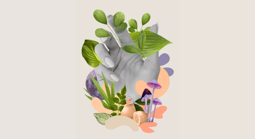 Nourishing the Future of Pharma: An Introduction to Nutraceuticals