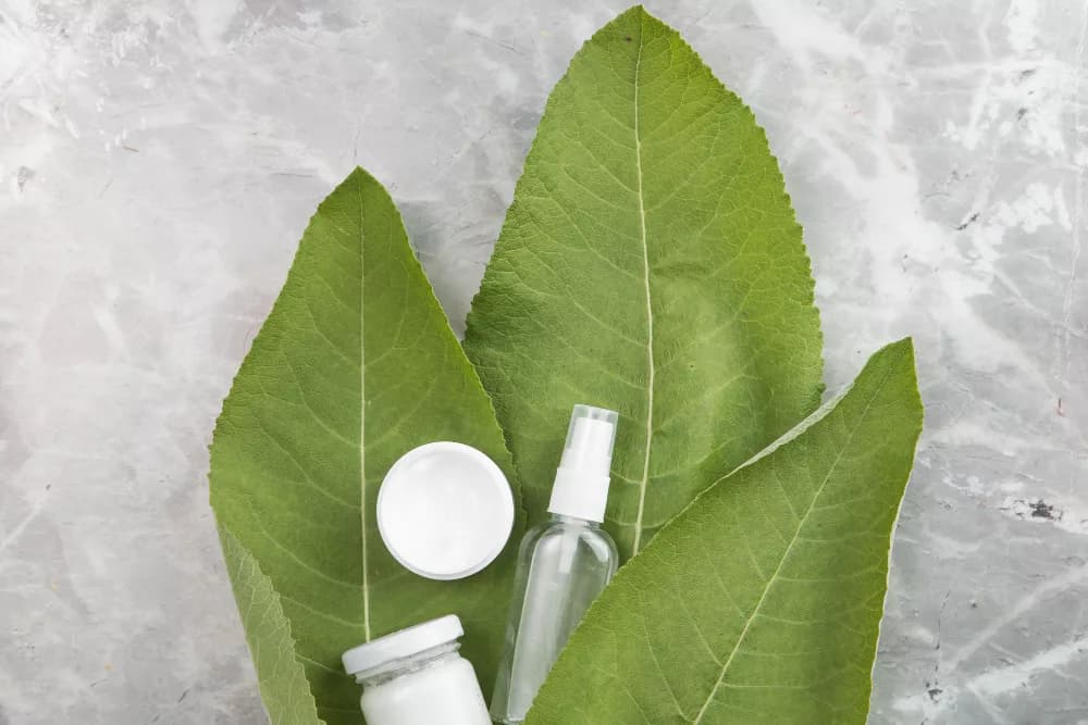 Sustainability in Topical Drug Manufacturing: Greener Creams & Ointments